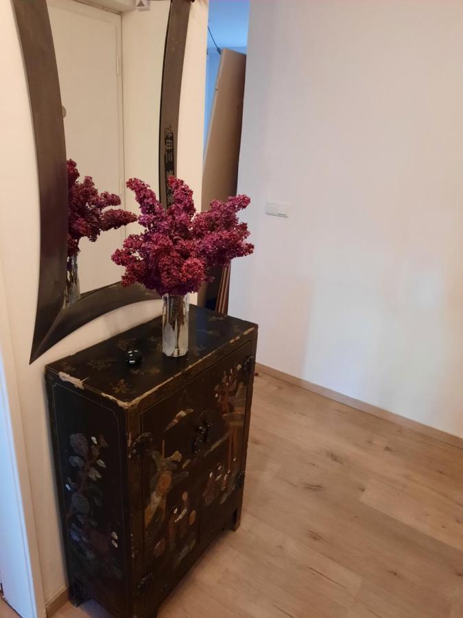 Schone Wohnung In Der Grazer Innenstadt ภายนอก รูปภาพ